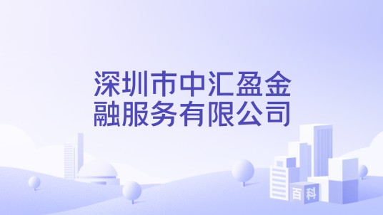 深圳市中汇盈金融服务有限公司