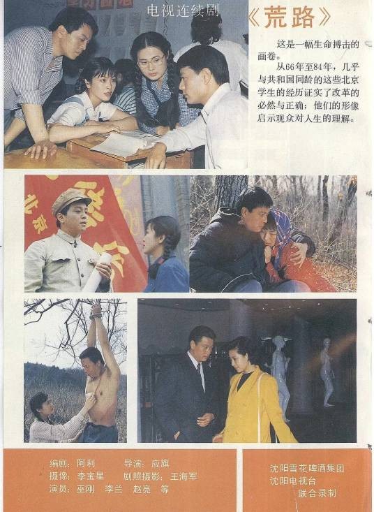 荒路(1993年应旗执导的电视剧)