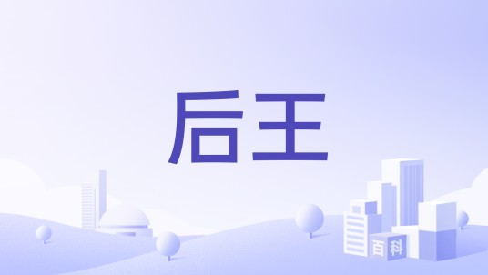后王（检测仪器制造商）