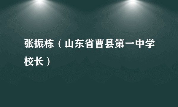 张振栋(山东省曹县第一中学校长)
