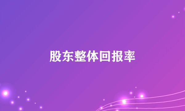 股东整体回报率
