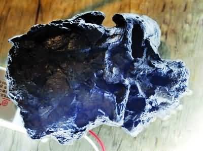 禄丰古猿（古人类学名词）