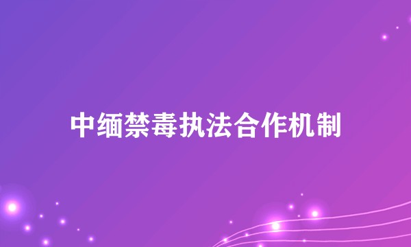 中缅禁毒执法合作机制