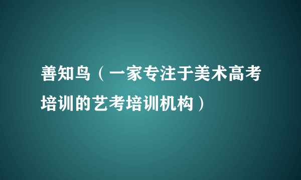 善知鸟（一家专注于美术高考培训的艺考培训机构）