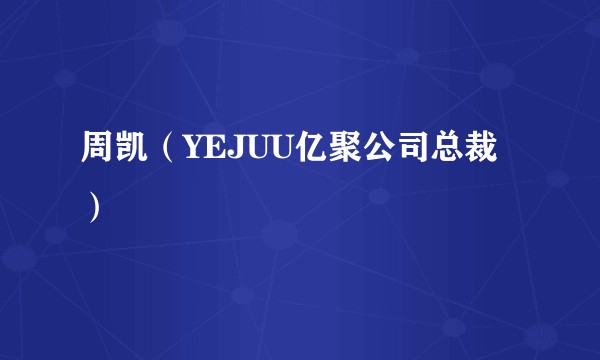 周凯（YEJUU亿聚公司总裁）