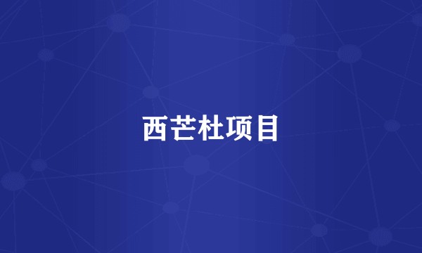 西芒杜项目