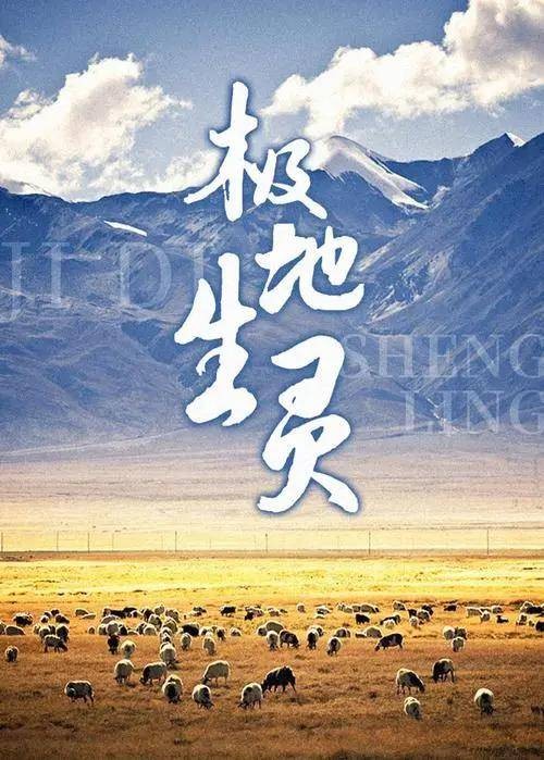 极地生灵（可雷导演的探索纪录片）