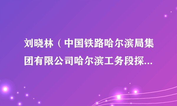 刘晓林（中国铁路哈尔滨局集团有限公司哈尔滨工务段探伤车间工长）