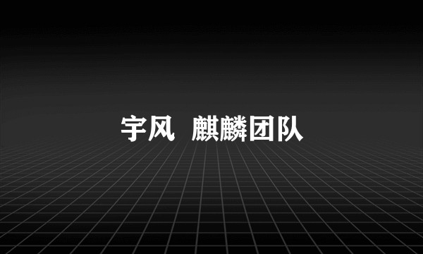 宇风  麒麟团队