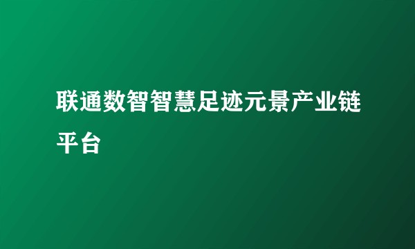 联通数智智慧足迹元景产业链平台