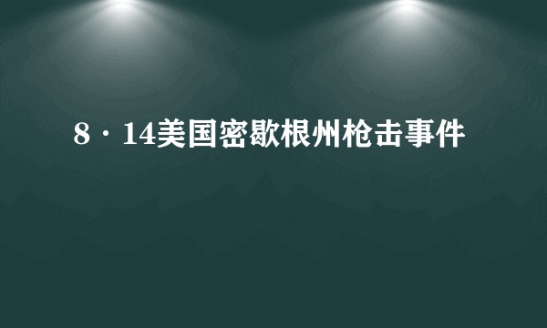 8·14美国密歇根州枪击事件