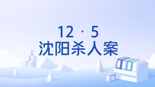 12·5沈阳杀人案