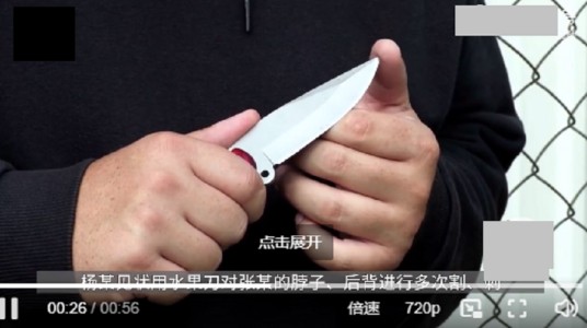 5·27义乌故意杀人案