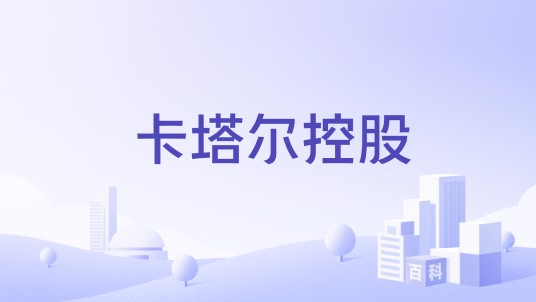 卡塔尔控股