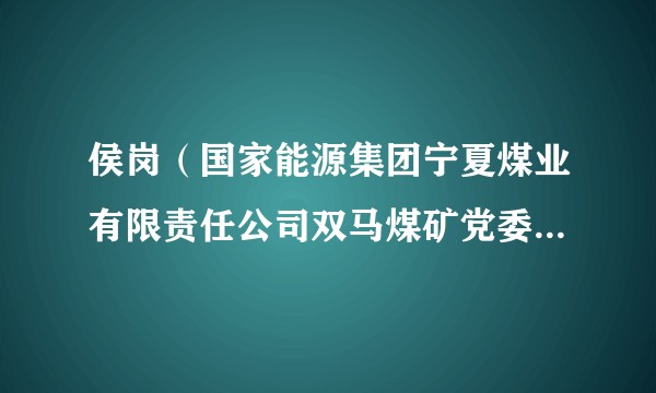 侯岗（国家能源集团宁夏煤业有限责任公司双马煤矿党委副书记、纪委书记）