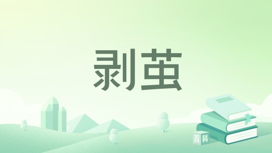 剥茧（2014年7月出版的书籍）