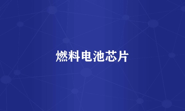 燃料电池芯片