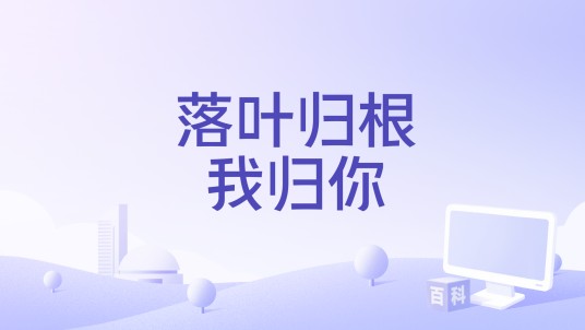 落叶归根我归你（电影）