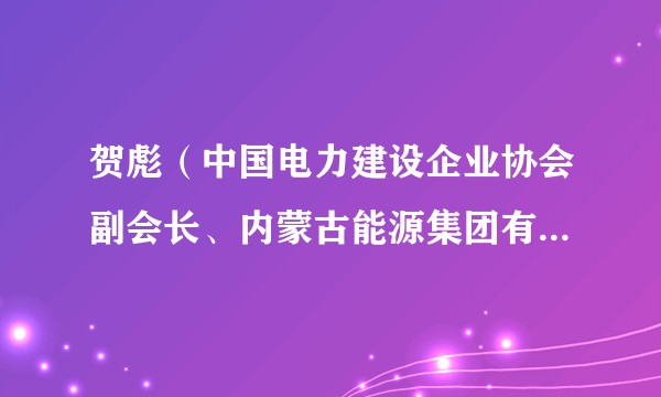 贺彪（中国电力建设企业协会副会长、内蒙古能源集团有限公司副总经理）