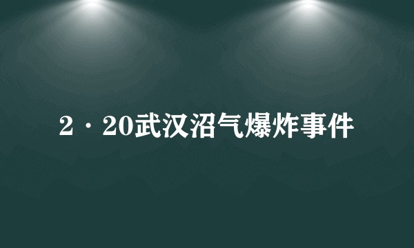 2·20武汉沼气爆炸事件