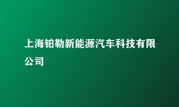上海铂勒新能源汽车科技有限公司