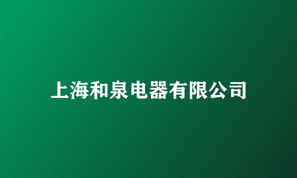上海和泉电器有限公司