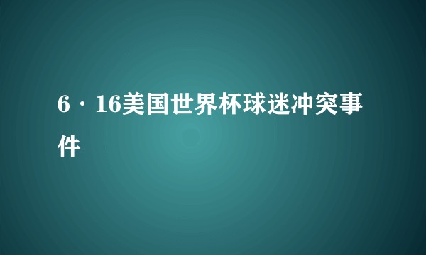 6·16美国世界杯球迷冲突事件