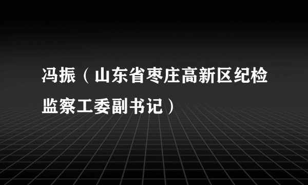 冯振(山东省枣庄高新区纪检监察工委副书记)
