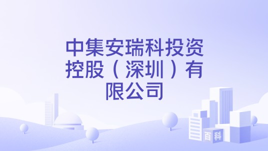中集安瑞科投资控股（深圳）有限公司
