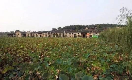 清江镇（湖南省郴州市资兴市下辖镇）