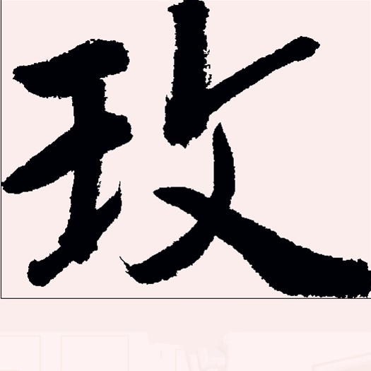 玫（汉语文字）