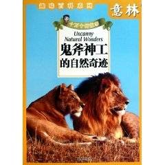 鬼斧神工的自然奇迹