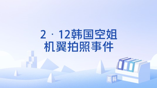 2·12韩国空姐机翼拍照事件