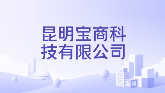 昆明宝商科技有限公司