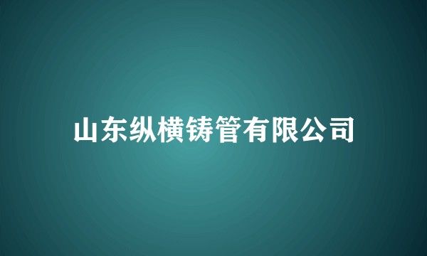 山东纵横铸管有限公司