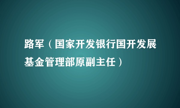 路军（国家开发银行国开发展基金管理部原副主任）