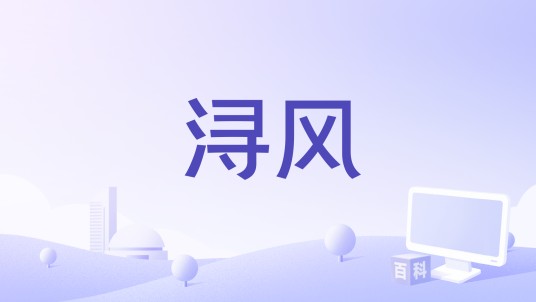 浔风