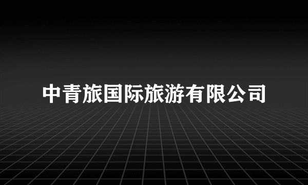 中青旅国际旅游有限公司