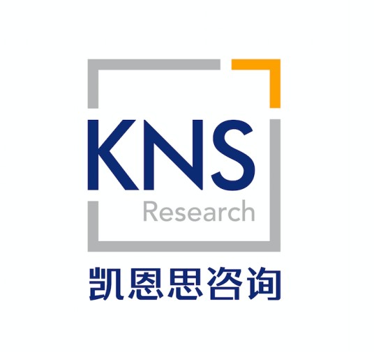 北京凯恩思市场咨询有限公司