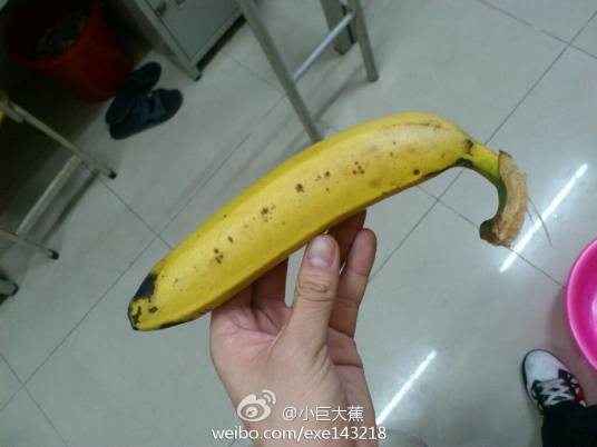 巨大蕉
