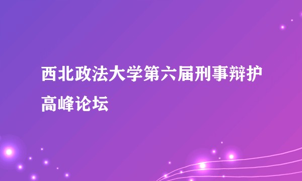 西北政法大学第六届刑事辩护高峰论坛