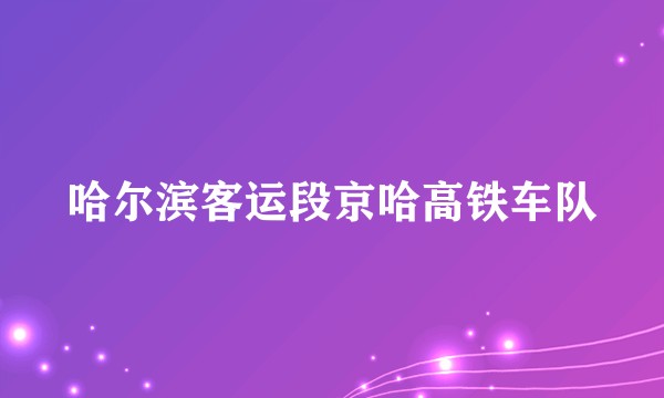 哈尔滨客运段京哈高铁车队