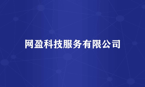 网盈科技服务有限公司