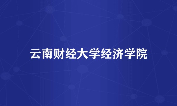 云南财经大学经济学院