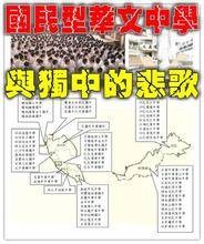 民族同化政策