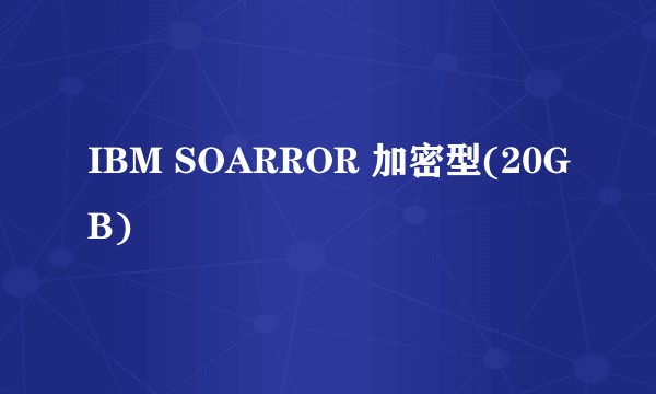 IBM SOARROR 加密型(20GB)