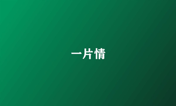 一片情