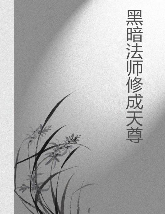 黑暗法师修成天尊