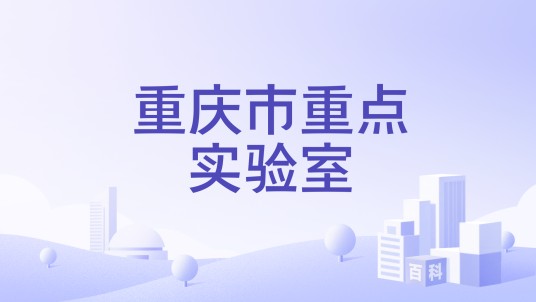 重庆市重点实验室
