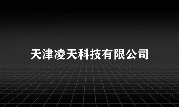 天津凌天科技有限公司